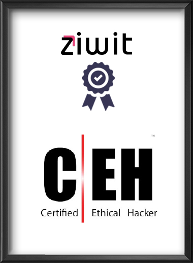 Certified Ethical Hacker