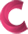 Ziwit Consultancy Services